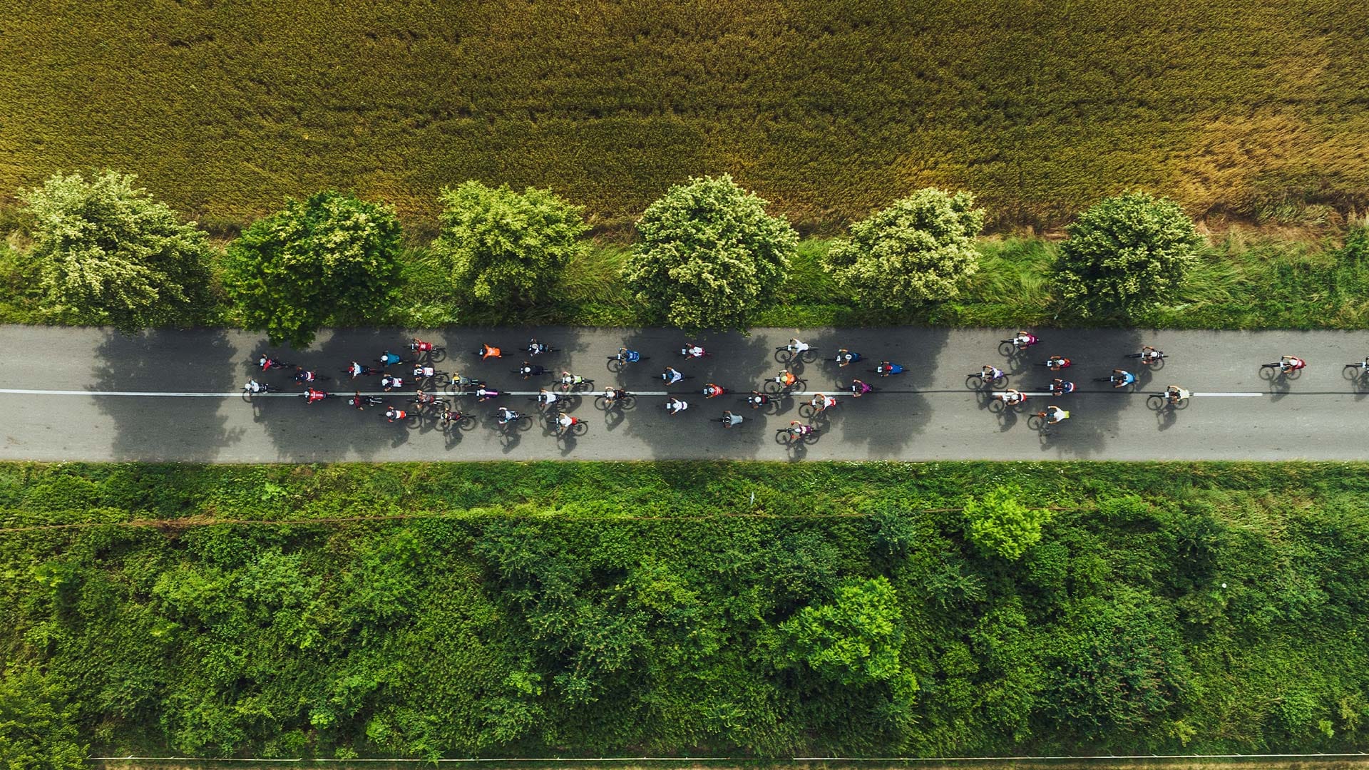 Giro D'Italia